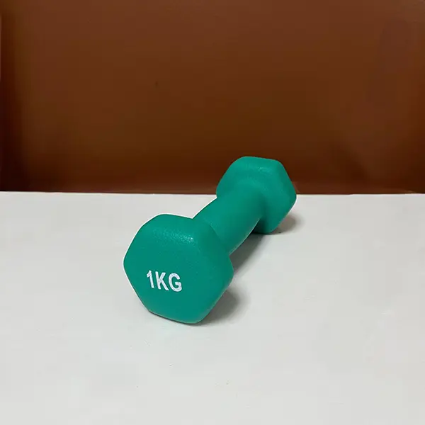 1kg